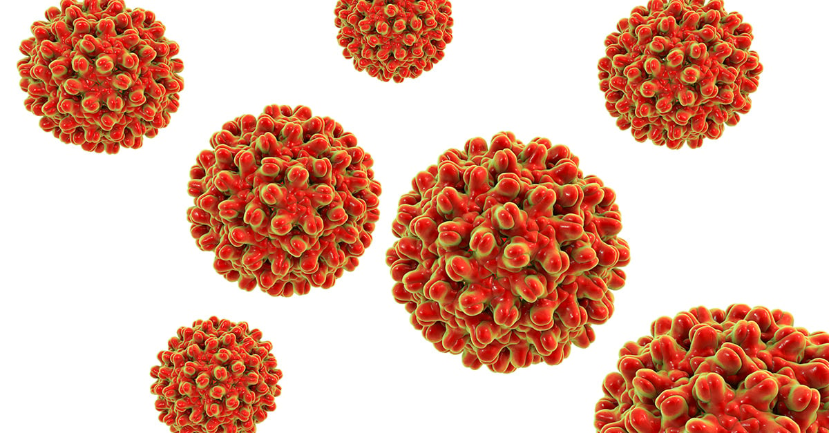 Hepatitis B Virus